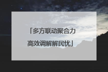 多方联动聚合力 高效调解解民忧